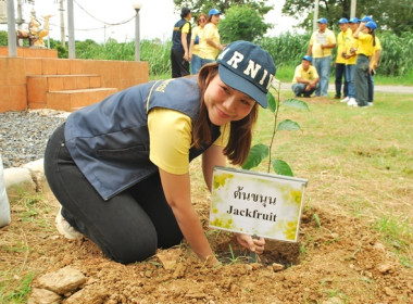 ร่วมโครงการอาสาสมัครสหกรณ์ กิจกรรมพัฒนาอาสาสมัครสหกรณ์ พารามิเตอร์รูปภาพ 23