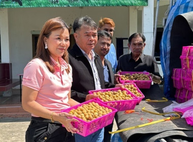 การกระจายลำไย โดยจัดกิจกรรม “ ... พารามิเตอร์รูปภาพ 2