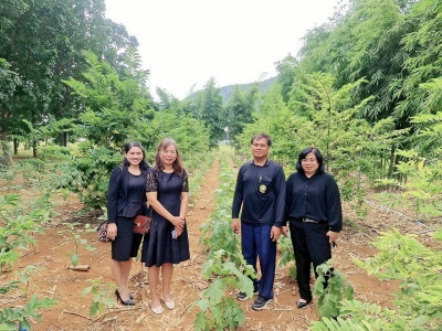 กลุ่มจัดตั้งและส่งเสริมสหกรณ์ ลงพื้นที่ให้คำแนะนำฯ ... พารามิเตอร์รูปภาพ 1