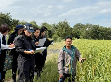 ลงพื้นที่ตรวจรับรองคุณภาพสินค้าที่ได้รับการส่งเสริมการขึ้นทะเบียนสิ่งบ่งชี้ทางภูมิศาสตร์ (GI) ... พารามิเตอร์รูปภาพ 1