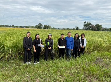 ลงพื้นที่ตรวจรับรองคุณภาพสินค้าที่ได้รับการส่งเสริมการขึ้นทะเบียนสิ่งบ่งชี้ทางภูมิศาสตร์ (GI) ... พารามิเตอร์รูปภาพ 10