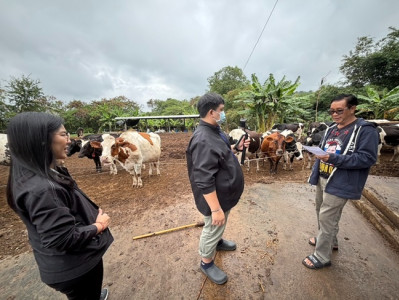 ลงพื้นที่เพื่อจัดทำ VTR ... พารามิเตอร์รูปภาพ 1