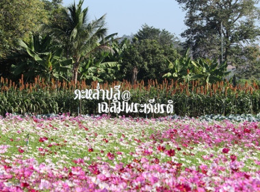 ร่วมเป็นเกียรติในพิธีเปิดแหล่งท่องเที่ยวเชิงเกษตรในจังหวัดสระบุรี ประจำปี 2569 ... พารามิเตอร์รูปภาพ 15