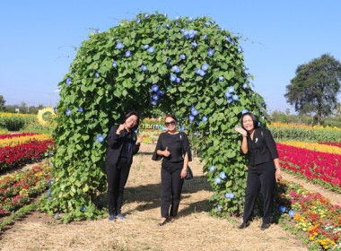 ร่วมเป็นเกียรติในพิธีเปิดแหล่งท่องเที่ยวเชิงเกษตรในจังหวัดสระบุรี ประจำปี 2569 ... พารามิเตอร์รูปภาพ 8