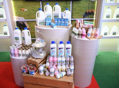 งาน “เทศกาลโคนมแห่งชาติ” ประจำปี 2569 พารามิเตอร์รูปภาพ 32