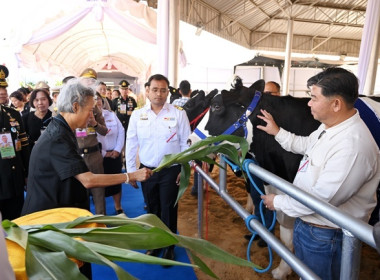 งาน “เทศกาลโคนมแห่งชาติ” ประจำปี 2569 พารามิเตอร์รูปภาพ 10