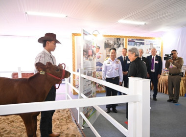 งาน “เทศกาลโคนมแห่งชาติ” ประจำปี 2569 พารามิเตอร์รูปภาพ 11