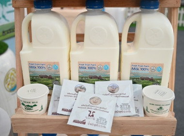 งาน “เทศกาลโคนมแห่งชาติ” ประจำปี 2569 พารามิเตอร์รูปภาพ 40