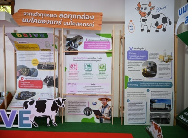 งาน “เทศกาลโคนมแห่งชาติ” ประจำปี 2569 พารามิเตอร์รูปภาพ 46