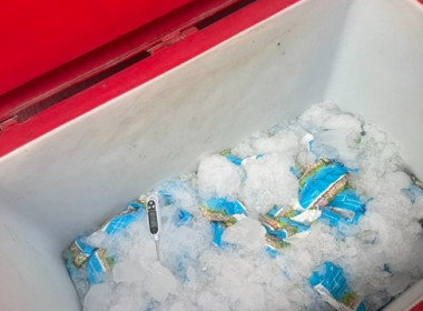 กลุ่มส่งเสริมและพัฒนาธุรกิจสหกรณ์ ... พารามิเตอร์รูปภาพ 8