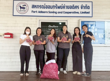 ร่วมกระจายหอมแดง ... พารามิเตอร์รูปภาพ 5