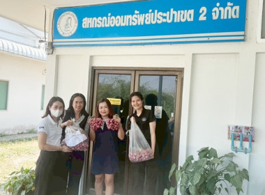 ร่วมกระจายหอมแดง ... พารามิเตอร์รูปภาพ 8