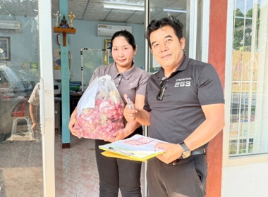 ร่วมกระจายหอมแดง ... พารามิเตอร์รูปภาพ 13