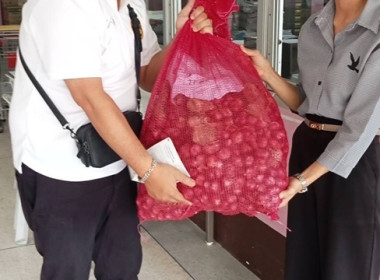 ร่วมกระจายหอมแดง ... พารามิเตอร์รูปภาพ 14