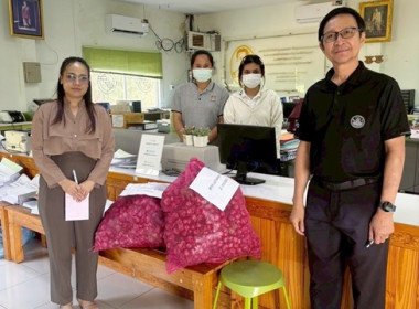 ร่วมกระจายหอมแดง ... พารามิเตอร์รูปภาพ 15