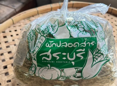 กลุ่มส่งเสริมและพัฒนาธุรกิจสหกรณ์ ... พารามิเตอร์รูปภาพ 4