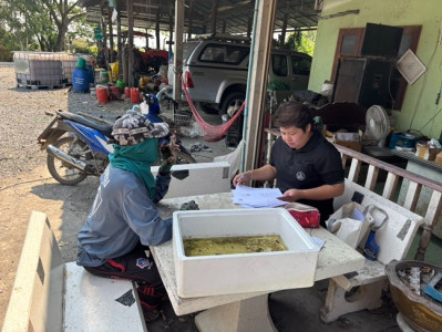 กลุ่มส่งเสริมสหกรณ์ 2 เข้าแนะนำส่งเสริมการจัดทำบัญชี ฯ ณ ... พารามิเตอร์รูปภาพ 1