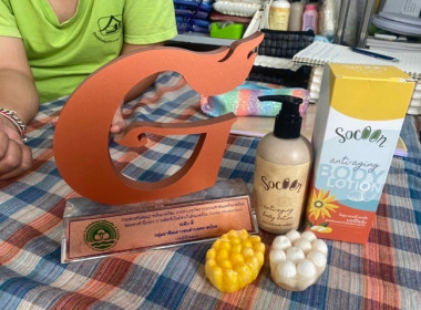 ลงพื้นที่เพื่อประสานและติดตามการดำเนินงานกลุ่มวิสาหกิจชุมชนรังไหมประดิษฐ์​ ... พารามิเตอร์รูปภาพ 3