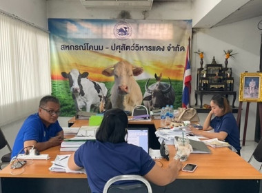 กลุ่มตรวจการสหกรณ์ ... พารามิเตอร์รูปภาพ 1