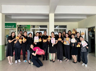 ร่วมกระจายหอมหัวใหญ่(พันธุ์ซูเปอร์เร๊กซ์) ... พารามิเตอร์รูปภาพ 3