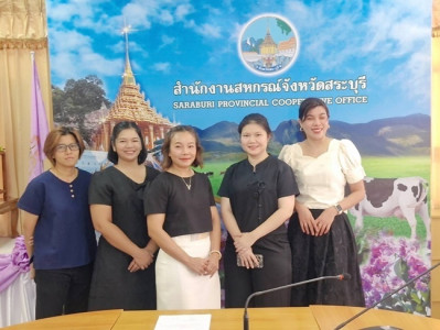 กลุ่มตรวจการสหกรณ์ ... พารามิเตอร์รูปภาพ 1