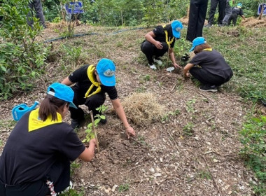 ร่วมกิจกรรมจิตอาสาพัฒนา ปรับปรุงภูมิทัศน์ ... พารามิเตอร์รูปภาพ 11