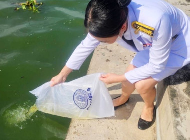 กลุ่มส่งเสริมสหกรณ์ 1 เข้าร่วมพิธีสวดพระพุทธมนต์ ... พารามิเตอร์รูปภาพ 11