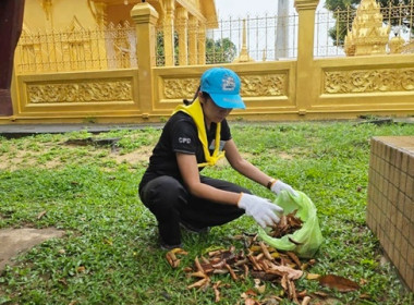 กลุ่มส่งเสริมสหกรณ์ 2 ... พารามิเตอร์รูปภาพ 8