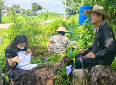 ผู้ชำระบัญชีกลุ่มเกษตรกรทำนาหนองโน ... พารามิเตอร์รูปภาพ 3