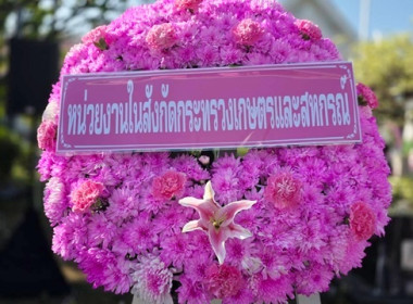 กลุ่มส่งเสริมสหกรณ์ 2 ... พารามิเตอร์รูปภาพ 3