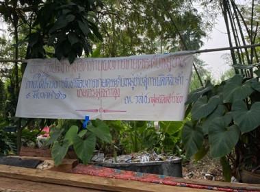 กลุ่มส่งเสริมสหกรณ์ 3 ... พารามิเตอร์รูปภาพ 3