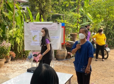 กลุ่มส่งเสริมสหกรณ์ 3 ... พารามิเตอร์รูปภาพ 4