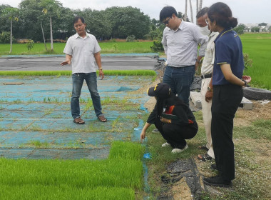 ติดตามการดำเนินงานโครงการส่งเสริมและพัฒนาสินค้าเกษตรอัตลักษณ์พื้นถิ่นสถาบันเกษตรกร​(ข้าว) ประจำปีงบประมาณ พ.ศ.2566​ ... พารามิเตอร์รูปภาพ 5