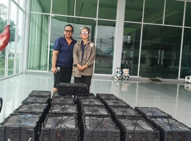 ร่วมกระจายมังคุดในพื้นที่จังหวัดนครศรีธรรมราช พารามิเตอร์รูปภาพ 2