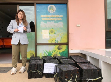 ร่วมกระจายมังคุดในพื้นที่จังหวัดนครศรีธรรมราช พารามิเตอร์รูปภาพ 4