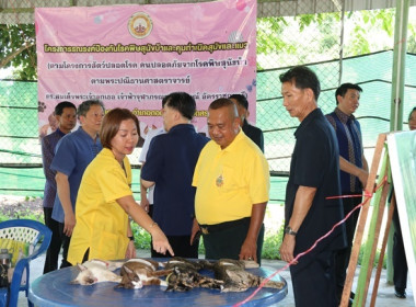 ร่วมเป็นเกียรติพิธีเปิดงานโครงการคลินิกเกษตรเคลื่อนที่ในพระราชานุเคราะห์ สมเด็จพระบรมโอรสาธิราชฯ สยามมกุฎราชกุมาร ประจำปีงบประมาณ พ.ศ. 2567 ครั้งที่ 3 ... พารามิเตอร์รูปภาพ 39
