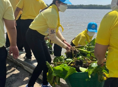 ร่วมกิจกรรมจิตอาสาพัฒนาปรับปรุงภูมิทัศน์ชุมชนริมแม่น้ำ/คู/คลอง เนื่องในวันคล้ายวันสวรรคตพระบาทสมเด็จพระบรมชนกาธิเบศร มหาภูมิพลอดุลยเดชมหาราช บรมนาถบพิตร(รัชกาลที่ 9 ) ... พารามิเตอร์รูปภาพ 8