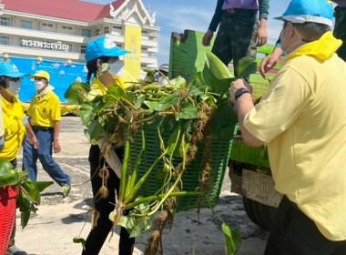 ร่วมกิจกรรมจิตอาสาพัฒนาปรับปรุงภูมิทัศน์ชุมชนริมแม่น้ำ/คู/คลอง เนื่องในวันคล้ายวันสวรรคตพระบาทสมเด็จพระบรมชนกาธิเบศร มหาภูมิพลอดุลยเดชมหาราช บรมนาถบพิตร(รัชกาลที่ 9 ) ... พารามิเตอร์รูปภาพ 9
