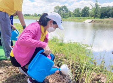 ร่วมโครงการรณรงค์และส่งเสริมการปลูกหญ้าแฝกเฉลิมพระเกียรติพระบาทสมเด็จพระเจ้าอยู่หัว เนื่องในโอกาสพระราชพิธีมหามงคลเฉลิมพระชนมพรรษา 6 รอบ 28 กรกฎาคม 2567 ... พารามิเตอร์รูปภาพ 6