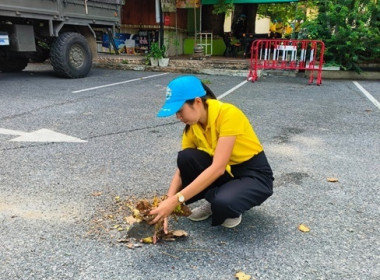 ร่วมกิจกรรมจิตอาสาพัฒนาเพื่อถวายเป็นพระราชกุศลและน้อมรำลึกพระมหากรุณาธิคุณของพระมหากษัตริย์ไทย เนื่องในวันเฉลิมพระชนมพรรษาสมเด็จพระนางเจ้าสิริกิติ์พระบรมราชินีนาถ พระบรมราชชนนีพันปีหลวง ... พารามิเตอร์รูปภาพ 12