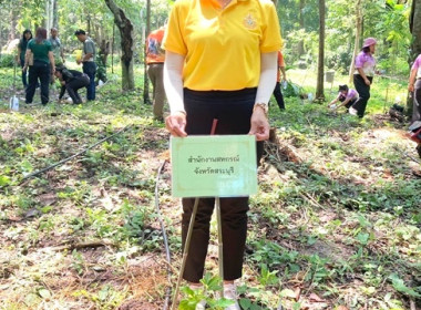 ร่วมกิจกรรมปลูกต้นไม้ เพื่อเพิ่มพื้นที่สีเขียว ... พารามิเตอร์รูปภาพ 8