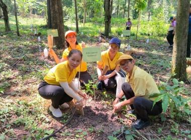 ร่วมกิจกรรมปลูกต้นไม้ เพื่อเพิ่มพื้นที่สีเขียว ... พารามิเตอร์รูปภาพ 7