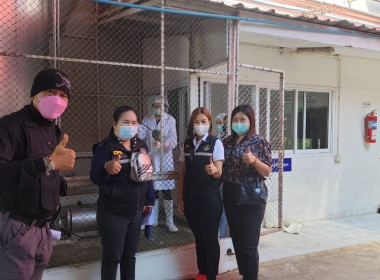 ตรวจสอบปริมาณและคุณภาพน้ำนม ... พารามิเตอร์รูปภาพ 4