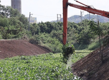 ร่วมกิจกรรมจิตอาสา ทำความสะอาด ปรับปรุงภูมิทัศน์ ... พารามิเตอร์รูปภาพ 6