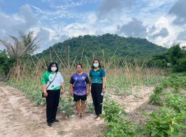 ตรวจเยี่ยมติดตามผลการดำเนินโครงการส่งเสริมพัฒนาอาชีพ ... พารามิเตอร์รูปภาพ 1