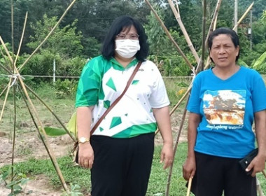 ตรวจเยี่ยมติดตามผลการดำเนินโครงการส่งเสริมพัฒนาอาชีพ ... พารามิเตอร์รูปภาพ 2