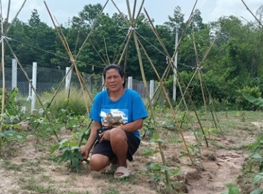 ตรวจเยี่ยมติดตามผลการดำเนินโครงการส่งเสริมพัฒนาอาชีพ ... พารามิเตอร์รูปภาพ 3