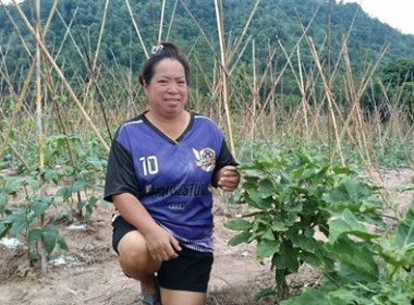 ตรวจเยี่ยมติดตามผลการดำเนินโครงการส่งเสริมพัฒนาอาชีพ ... พารามิเตอร์รูปภาพ 4