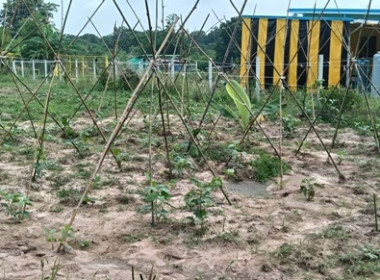 ตรวจเยี่ยมติดตามผลการดำเนินโครงการส่งเสริมพัฒนาอาชีพ ... พารามิเตอร์รูปภาพ 5