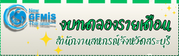 งบทดลองรายเดือน